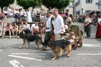 IMG_6353 (2) 